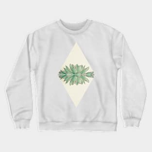 Echeveria II Crewneck Sweatshirt